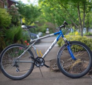 photo of a blue and white bike called Trillium